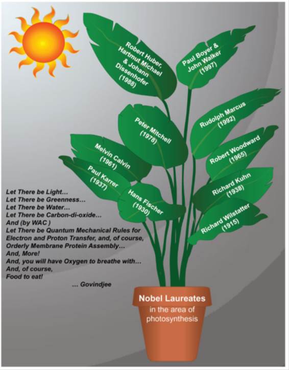 Premios nobel fotosintesis